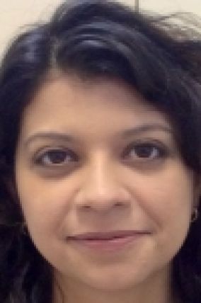 Seminario de la profesora Flavia de Magalhães Barros