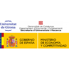 Preconvocatoria de becas para realizar estudios doctorales